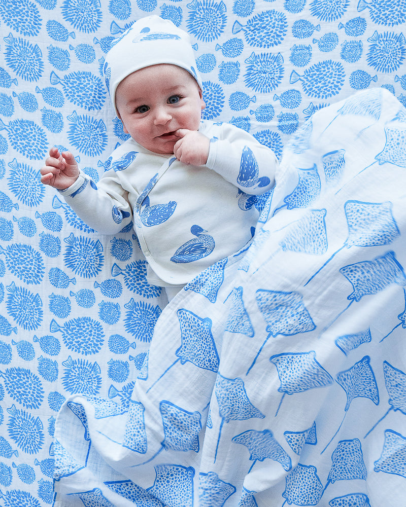 Swaddle - Stingray | Marine