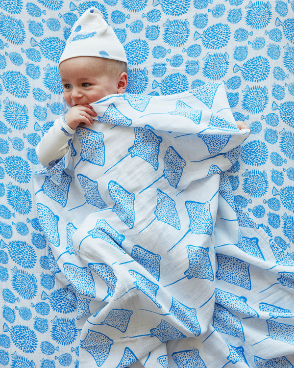 Swaddle - Stingray | Marine